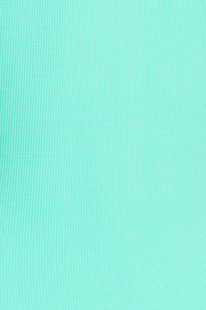 Pique Ole Skirted Hipster Bikini Bottom - Bleu Rod Beattie