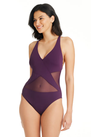 Don't Mesh With Me One Piece Surplice Mesh Swimsuit